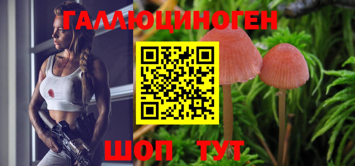 Псилоцибиновые грибы ЛСД  Вход с VPN  Галлюциногенные грибы MAGIC MUSHROOMS  Рыбинск 